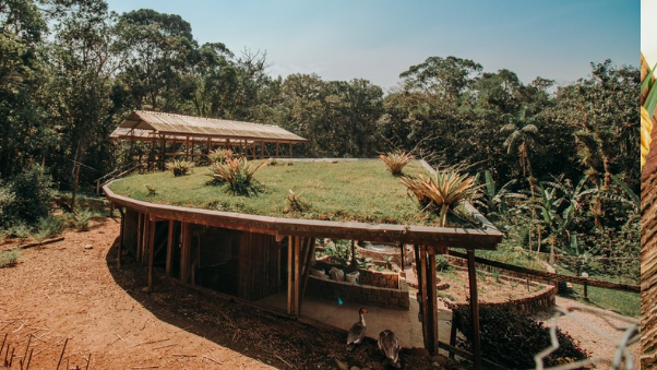 1263773F-DFBD-4F0F-BFF8-E50A27AC4EC3